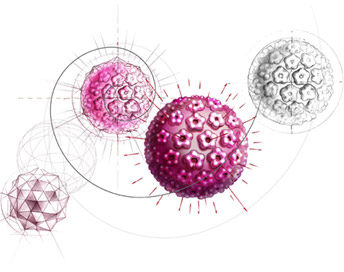 Papilomavírus Humano (HPV)